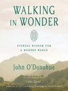 Imagen de portada para Walking in Wonder